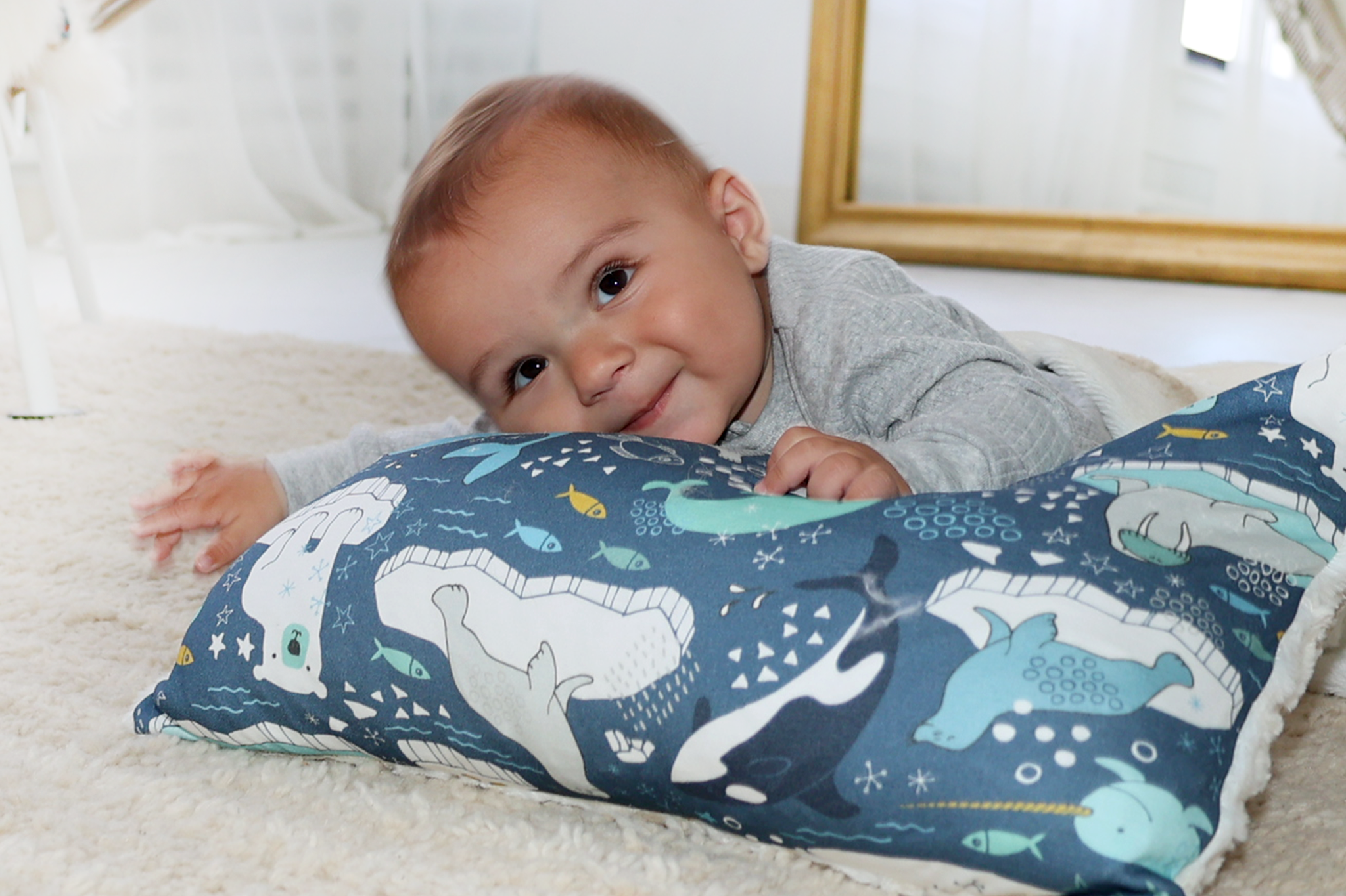 Arctic Dream Pillow Creffields