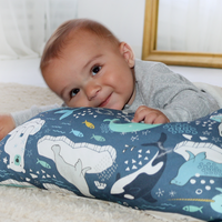 Arctic Dream Pillow