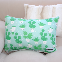 Cozy Cactus Pillow